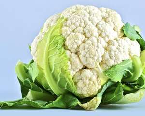花椰菜的养殖方法和注意事项
