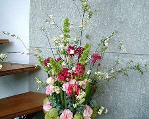 竹籬笆的春天(图)