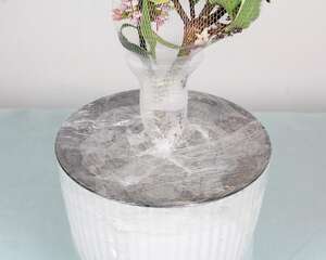 瑞香花怎么养，家庭养法