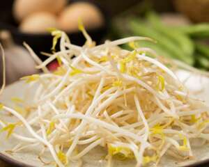 1把豆子，2天长成菜苗，健康又省钱！