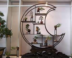 “入门级”养花者必修课