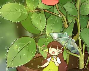 花叶子噗噗冒水珠，恭喜你，把花养灵了！