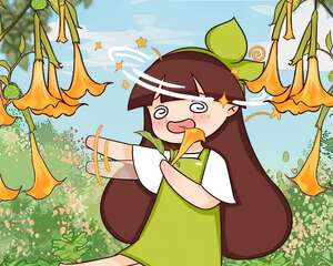 这种常见花，有剧毒，千万别碰，小心中毒！