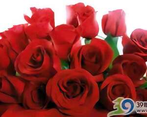 玫瑰花水用处多 去皱效果很不错