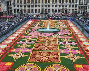 布鲁塞尔：鲜花地毯亮相 总占地约2000平方米