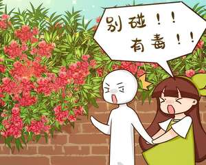 20种有毒花，看见绕道走，千万别去碰！