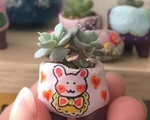 抢了侄子的橡皮泥，竟然拿去做花盆，比买的还好看！