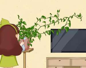 养不活的花丢鱼缸里，沾水立马就疯长，大冬天呼呼长不停！