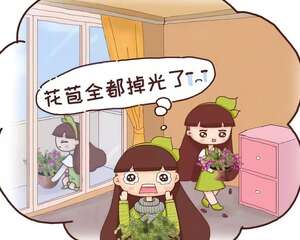 10月养花，这3点没注意，容易把花养死！
