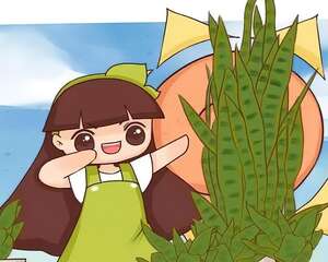 给花浇点它，蹭蹭冒新芽，盆都撑爆了！