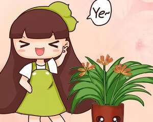 秋天给这花换盆，少了这一步，还不如不换！