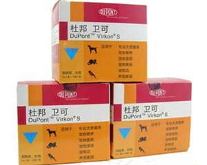 日常狗狗环境消毒的注意事项