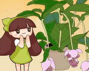 今年最时髦的花，摆在客厅有面子，谁见了都夸！