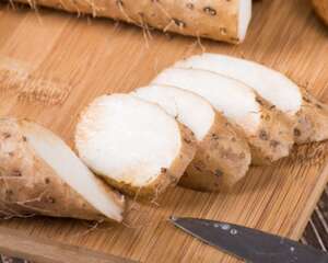 野山药长什么样子