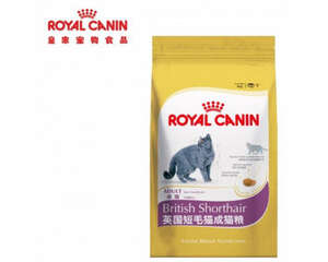英短猫粮喂食时要注意什么？