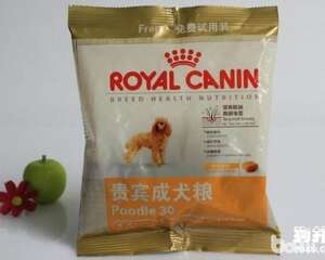 最新狗粮品牌排行大揭秘，赶紧收藏！