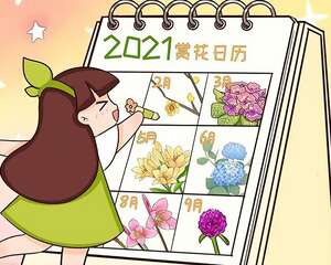 养花土不够了，用它来代替，不招虫、不烂根！