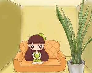 虎皮兰怎么养？学会这几点，轻松养到1米8！