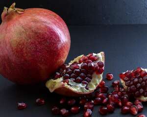 石榴花有哪些常见品种