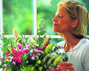 花花世界精气爽(图)