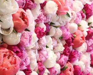 最有气质的花，花苞比鸡蛋还大，1盆顶10盆！