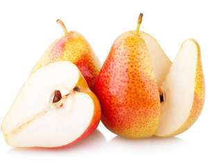 梨树盆景制作及养护