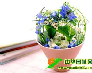 花形花瓶要配对