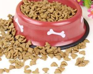 如何为狗狗挑选合适的狗粮