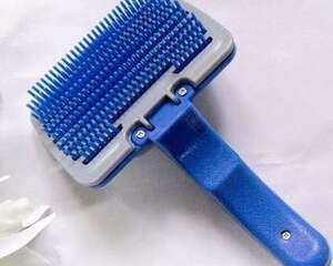 打扮时尚宠物狗从挑选宠物梳子开始