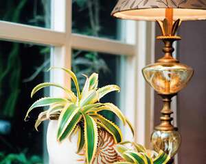 独具性格的创意花器