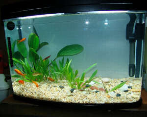 选择二氧化碳钢瓶的方法