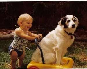 获得狗狗信任的方法都有哪些?