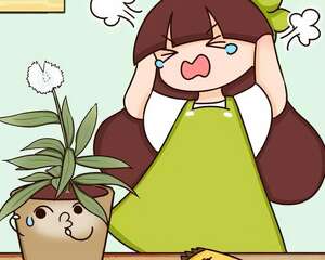 这种花千万别买，浪费时间浪费钱，气到冒烟！