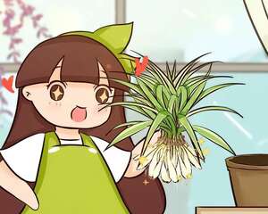 吊兰怎么养？土里埋点鸡蛋壳，疯长拦不住！