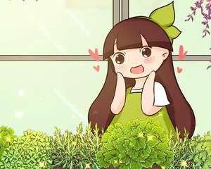 这花别换盆，赶紧打顶、掐芽，下个月就开花！