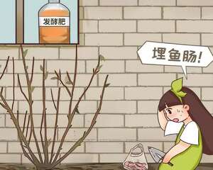 现在不做这件事，明年开花没指望，还要费大钱！