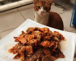 【美食攻略】自制猫咪零食之香烤三文鱼皮