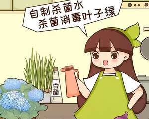 给花喷点杀菌水，虫子全杀死，养花不招虫特干净！