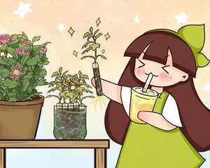 最后一波扦插，赶紧动手，天冷就不活了！