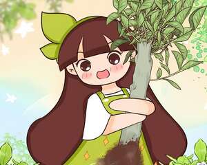 夏天扦插，杆子越粗越好活，根长成大扫把！