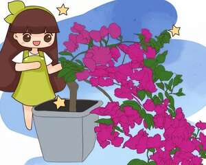 家里有这花，露养断水2个月，安全越冬50盆！