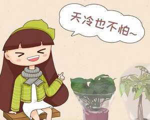 20种常见花，冬天就这么养，养不活，你找我！