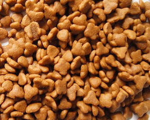 天然狗粮哪个牌子好