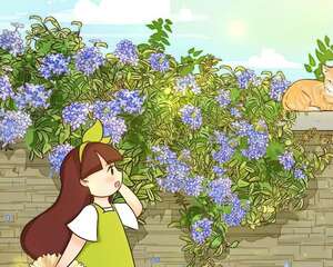 蓝雪花的养护方法，浇足水、多光照，越热花越多！