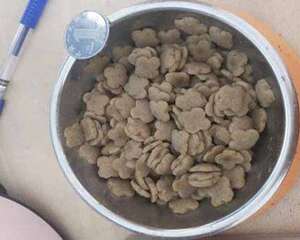 泡狗粮的方法及注意事项有哪些？