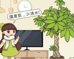 降温了，9种花最怕冷，赶快搬进屋！