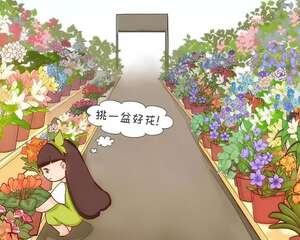花市里猫腻多，碰见这种花，千万别买，养不活浪费钱！
