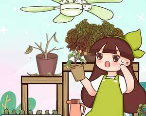这花夏天最容易死，赶紧扦插备份，死了也不心疼！