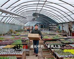 花友故事：成长中的“多肉人生”