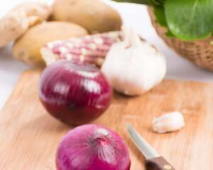 水培洋葱的方法